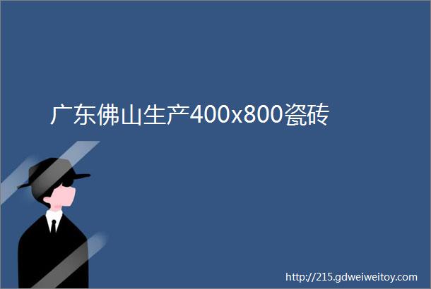 广东佛山生产400x800瓷砖